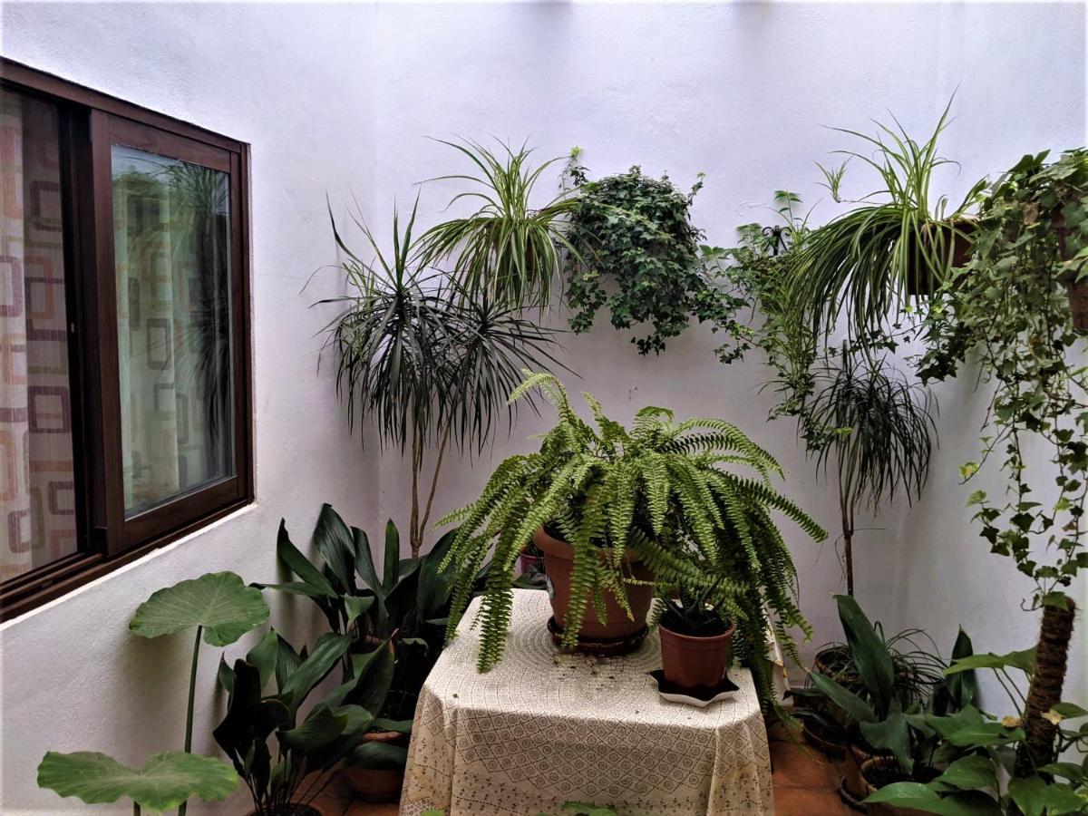 Hostal Moraima Capileira Esterno foto